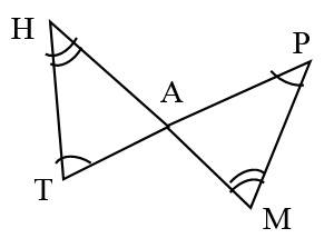 mt-2 sb-10-Trianglesimg_no 175.jpg